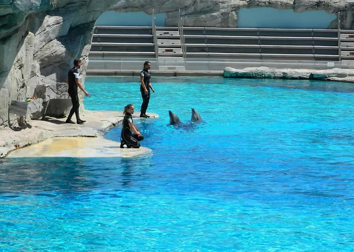 Altamarea شقة فندقية